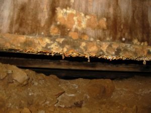 decayed-plywood-web-joist-in-crawlspace