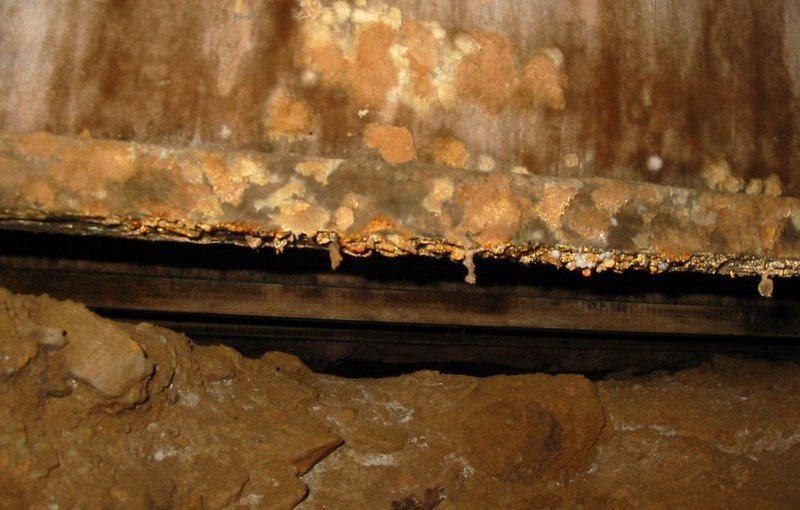 decayed-plywood-web-joist-in-crawlspace