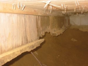 Badly-decayed-plywood-web-joist