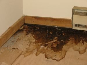 Decayed-floor-sheathing-above-wet-crawlspace.